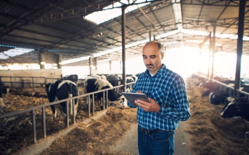 Dairy Cooperatives: A Pillar of Chile's Productive Sovereignty