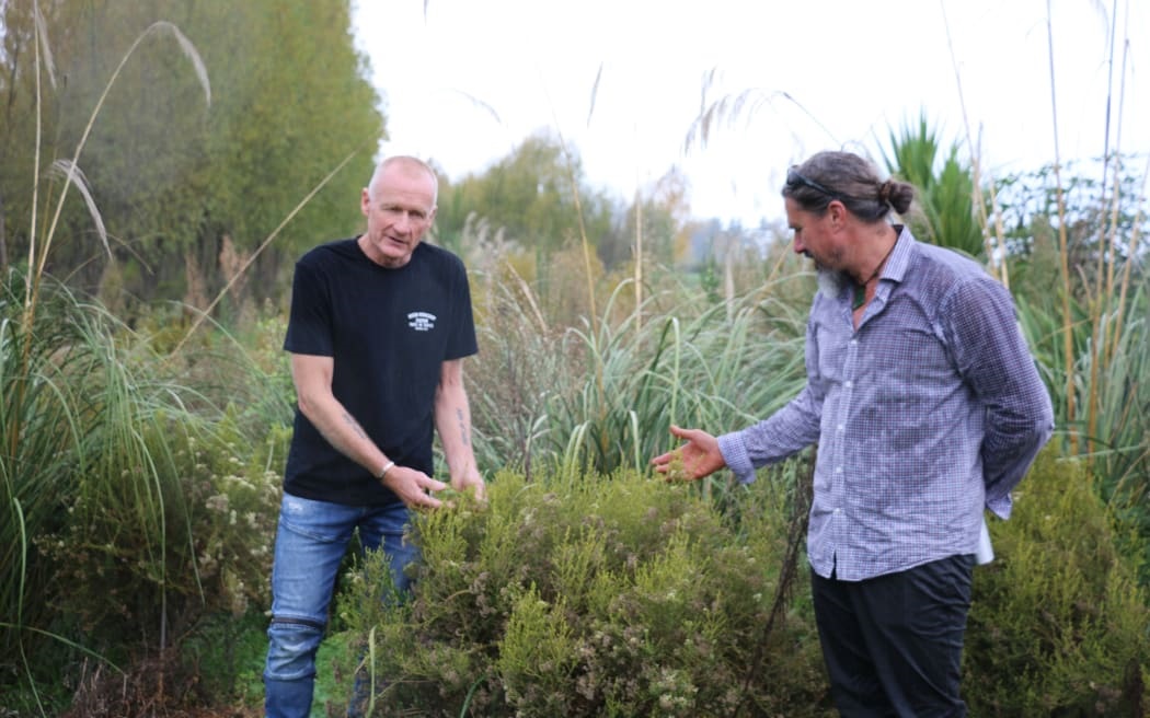A dairy farmer builds cultural connections alongside a braided river