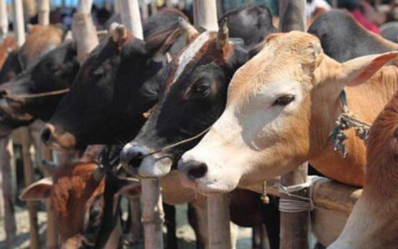 Cargill Opens Largest Dairy Feed Plant in South Asia in Punjab