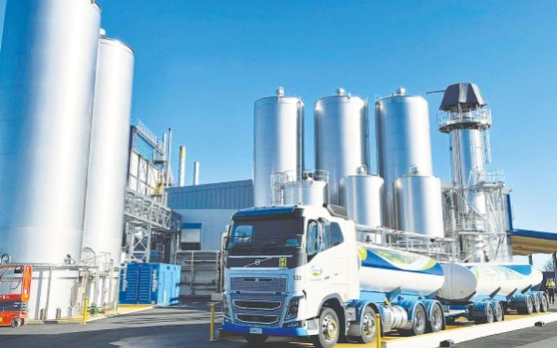 Новая Зеландия: Индия вряд ли откроет рынок для молочной продукции даже после соглашения о свободной торговле