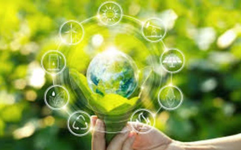 Nestlé Achieves 100% Renewable Energy Usage in Mexico