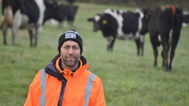 Schulz Organic Dairy Boosts Milk Output with Fewer Cows