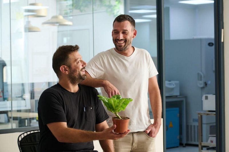 Plantopia Innovates Dairy Production with Molecular Farming