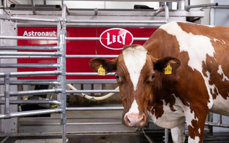 Lely alcanza ingresos de €1 mil millones mientras aumenta la demanda de robótica lechera