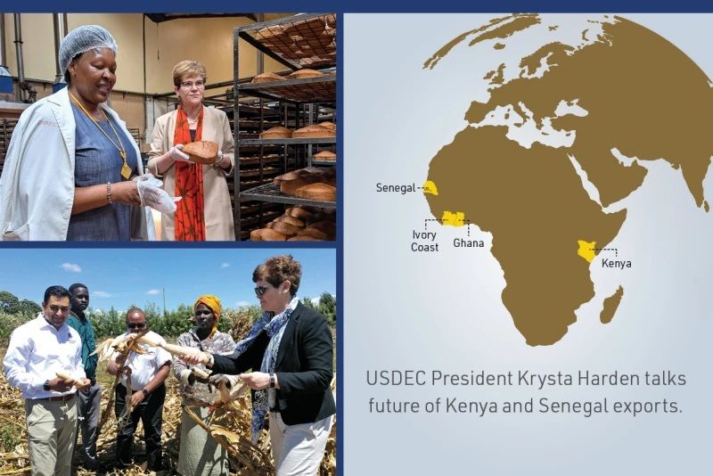US Dairy Targets Sub-Saharan Africa for Long-Term Growth