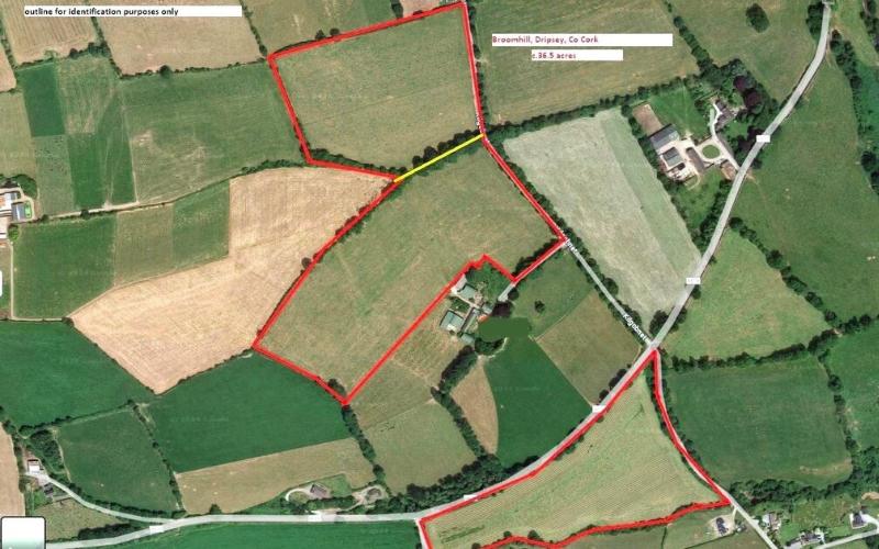 Cork Farm Near Carbery Dairy Plant Up for Sale at €15,000 per Acre