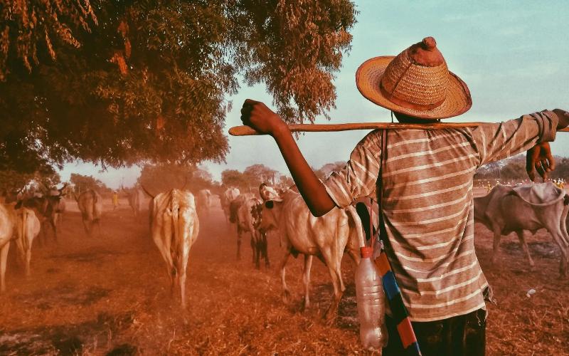 Dvara E-Dairy, Süt Üreticilerine 100 Crore ₹ Kredi Dağıttı