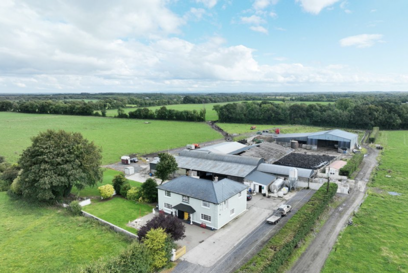 Record Land Sale in Irelandr: Dairy Farm Fetches €2.775 Million