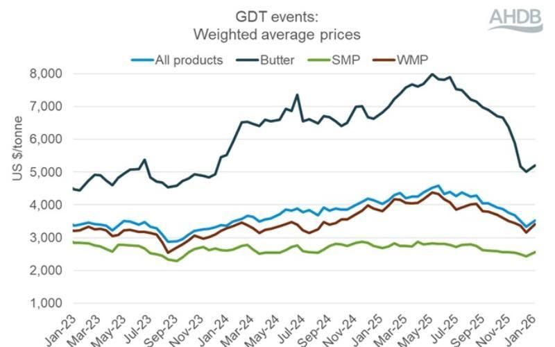 Global Süt Ürünleri Ticaret Etkinliği, Ortalama Fiyatlarda Artış Gösteriyor
