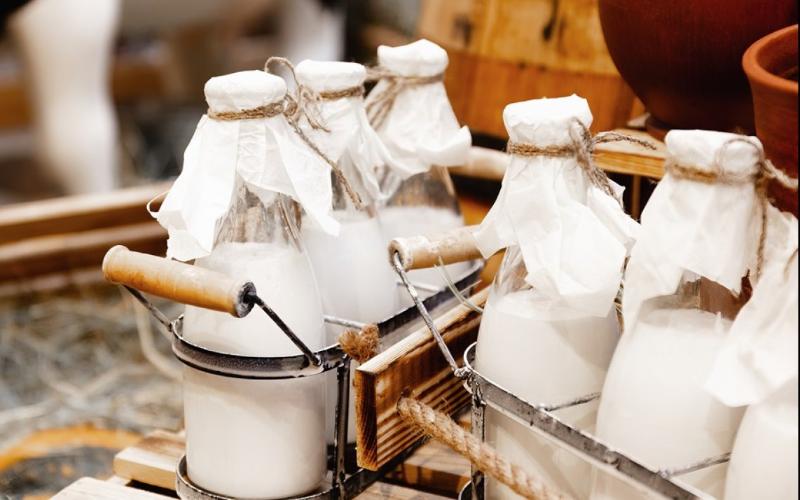 Mexico's Milk Mission: Going All Out for Dairy Growth