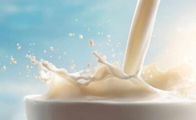 Global Dairy Market Faces Mixed Forces Impacting Price Stability