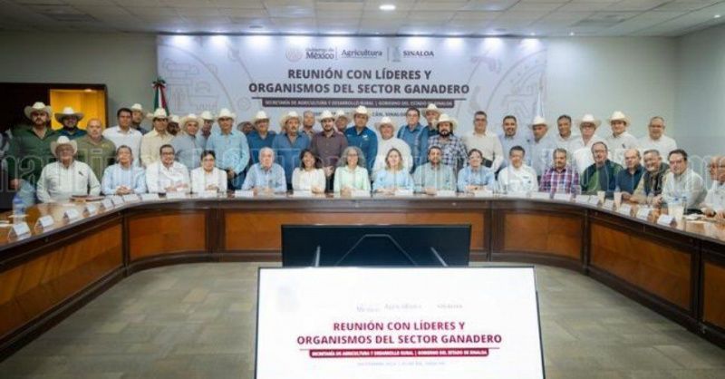Sinaloa launches a livestock screwworm containment plan