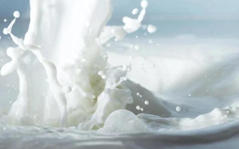 FSDA Raids Uncover Widespread Dairy Adulteration in Mathura, Aligarh