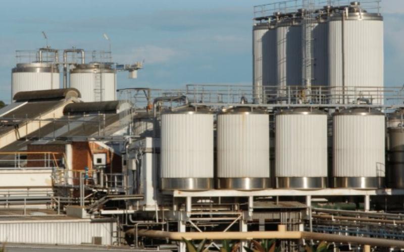 Lactalis invierte 100 millones de dólares en el mercado lácteo de Nueva Zelanda con la adquisición de Mainland