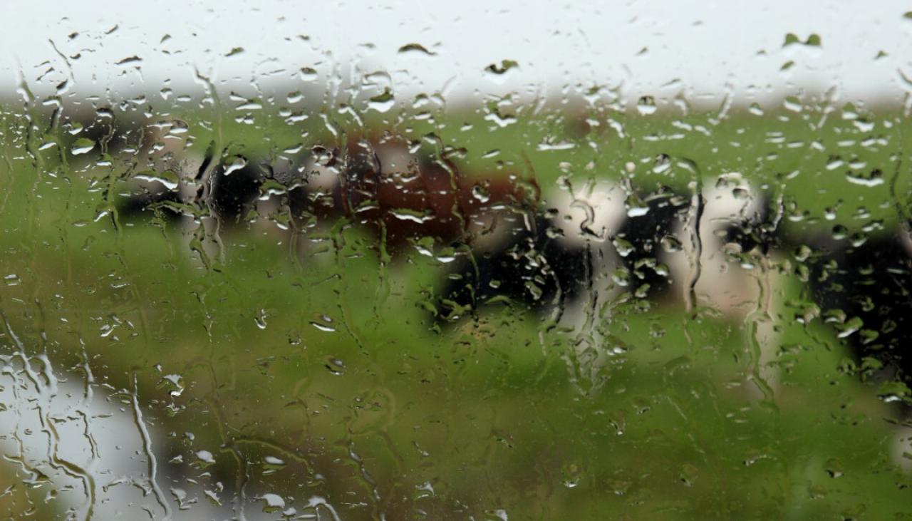 Farmers benefit from good rainfall as it can lead to lower farm costs and higher yields