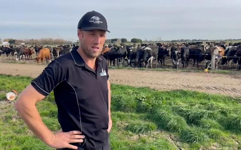 Fonterra Legal Battle with Gippsland Farmers Over Milk Contract
