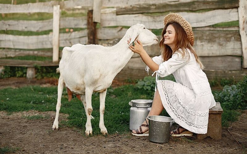 В Казахстане аграрный сектор испытывает острую нехватку специалистов