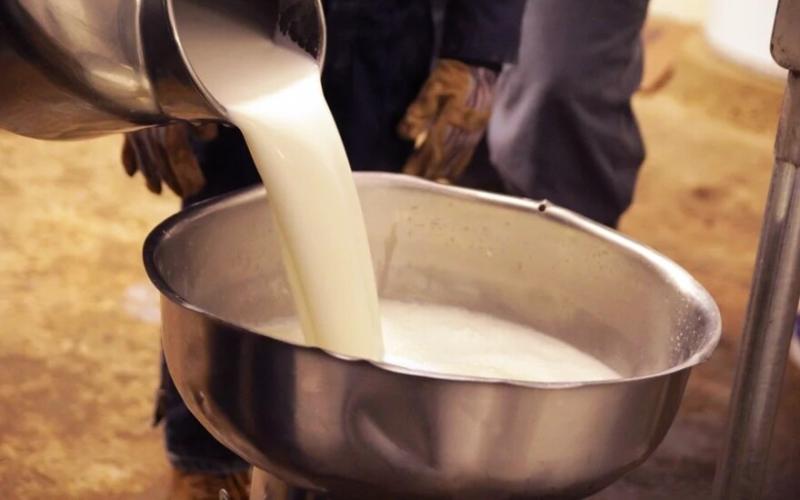 Florida E. Coli Outbreak Linked to Raw Milk Consumption