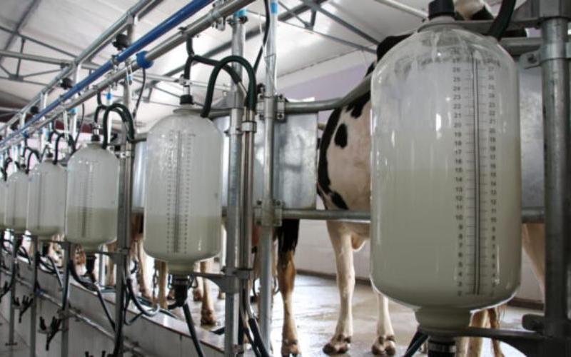 Ornua'nın Aralık 2025 PPI'si Süt Fiyatlarındaki Düşüşün Devamını Gösteriyor