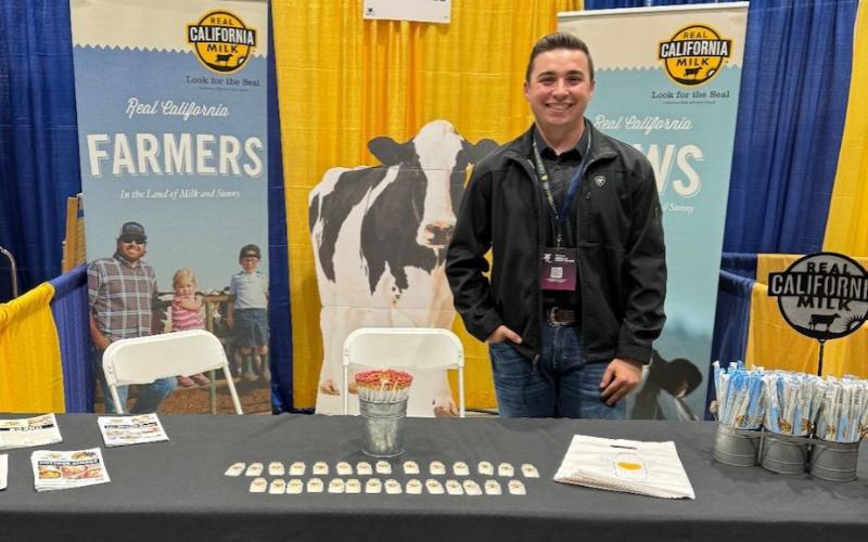 National Dairy Board Offers $31,000 in Scholarships for Dairy-Focused Students