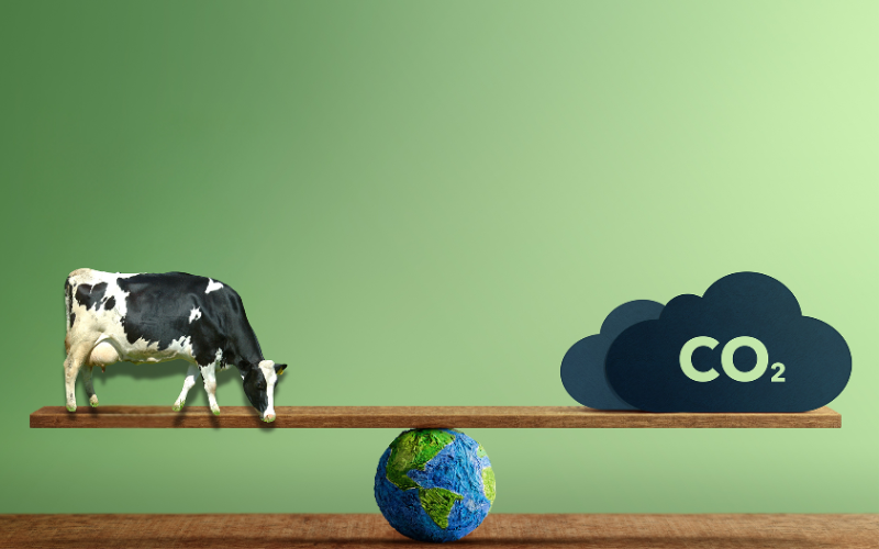Dairy Industry Greenwashing Under Fire As Lawsuits Go Global