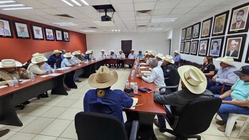 Ahome cattle farmers submit Sader plan on milk, genetics and equipment