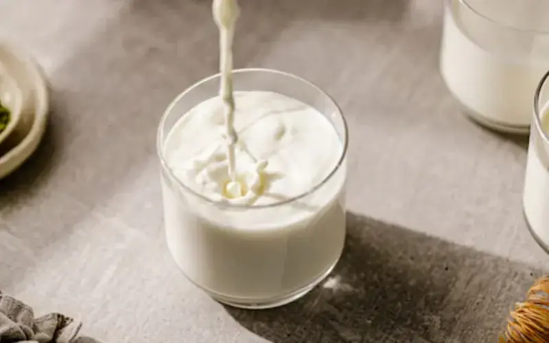 Gucarat Yetkilileri Sentetik Süt Üretimine Karşı Harekete Geçti