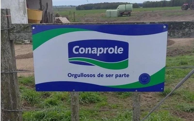 Conaprole Reports Loss of 69,000 Kilos of Whey
