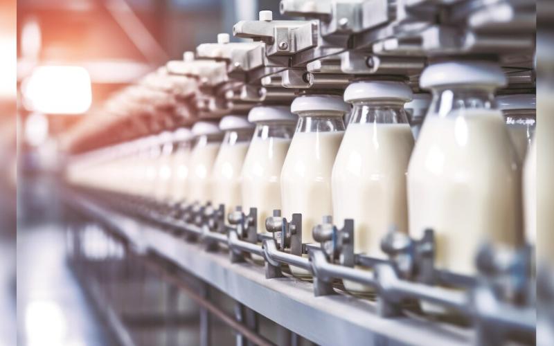 Hatsun Agro's Growth Strategy Amidst New Tax Cuts