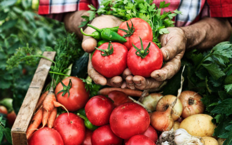 В России приняли закон об ионизированной обработке сельхозпродукции