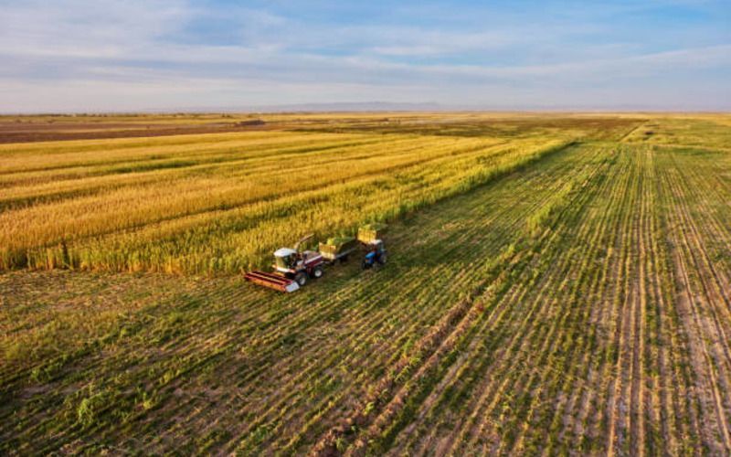 Главные события в агробизнесе Казахстана за 2022 год