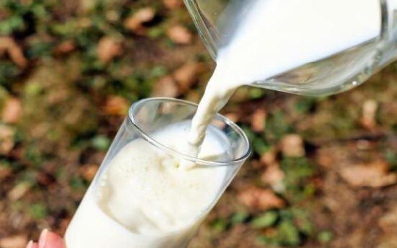 شركة Milky Mist Dairy تؤسس منشأة كبيرة لمعالجة الحليب في ماهاراشترا