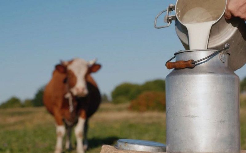 Мы не против ввозимого молока, мы за то, чтобы наш продукт знали лучше - Геннадий Зенченко
