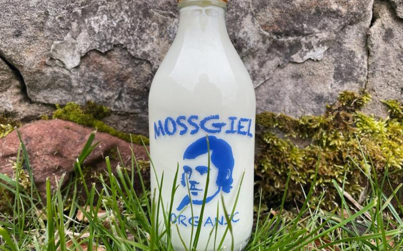 Mossgiel有机乳品厂通过在苏格兰的新农场合作扩展业务