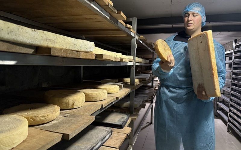 Participants of DairyRally Georgia to Visit Tsivis Cheese Dairy in Kakheti on the First Day