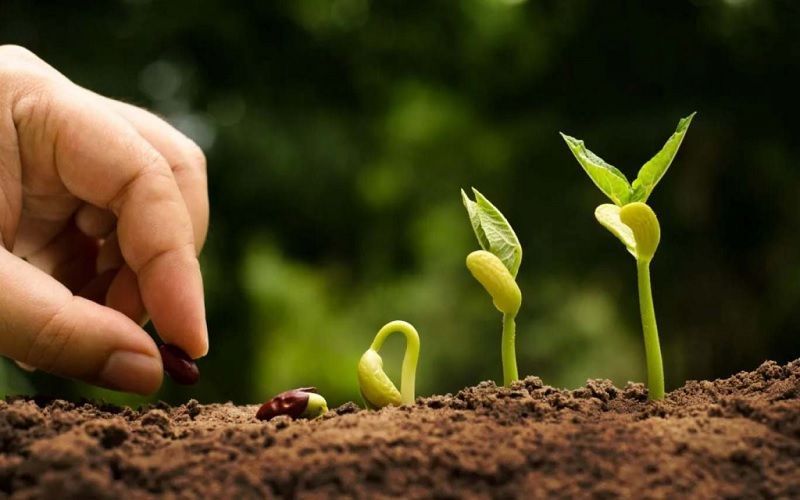 Тұқым-2026: в Астане обсудят стратегическое партнерство в селекции и семеноводстве