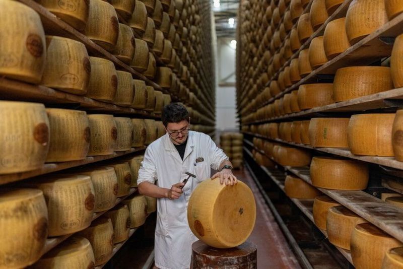 İklim Değişikliği İtalya'nın Parmigiano Reggiano Endüstrisini Zorluyor