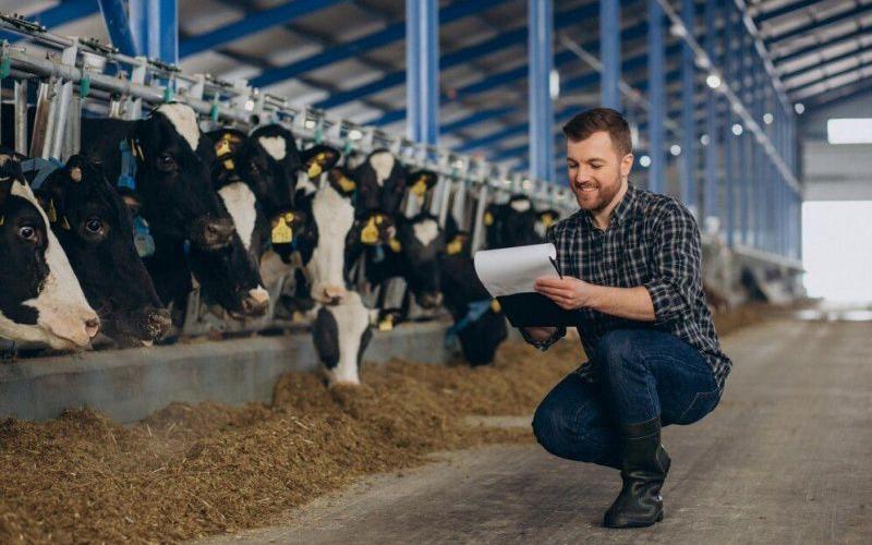 Visa Crunch Ahead: NZ Dairy Faces Worker Exodus