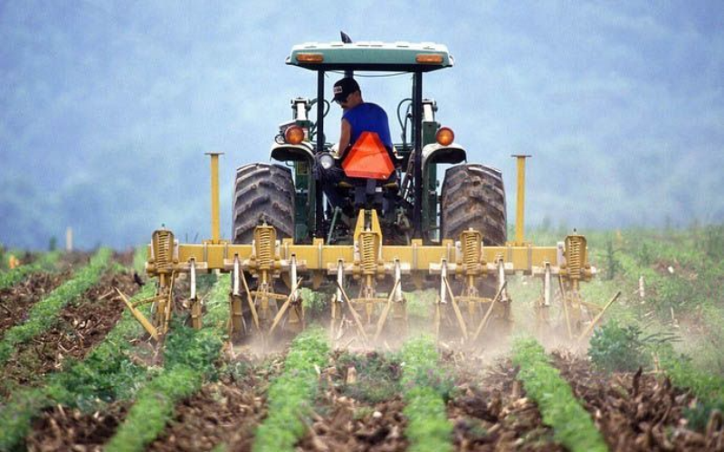 Dairy Farmers in New York Face Rising Costs Due to Tariffs