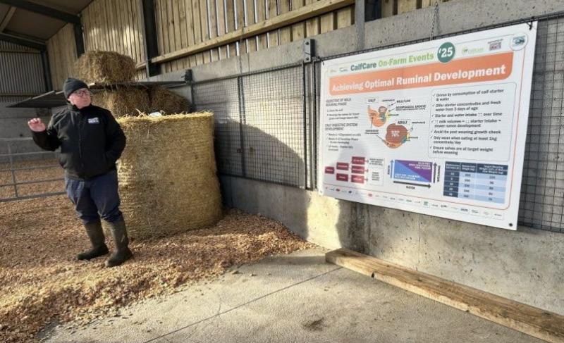 CalfCare '25 Highlights Rumen Development in Calf Rearing