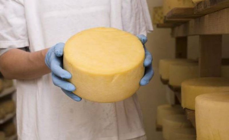 Brazil’s Senate debates raw-milk cheese disadvantage after EU deal