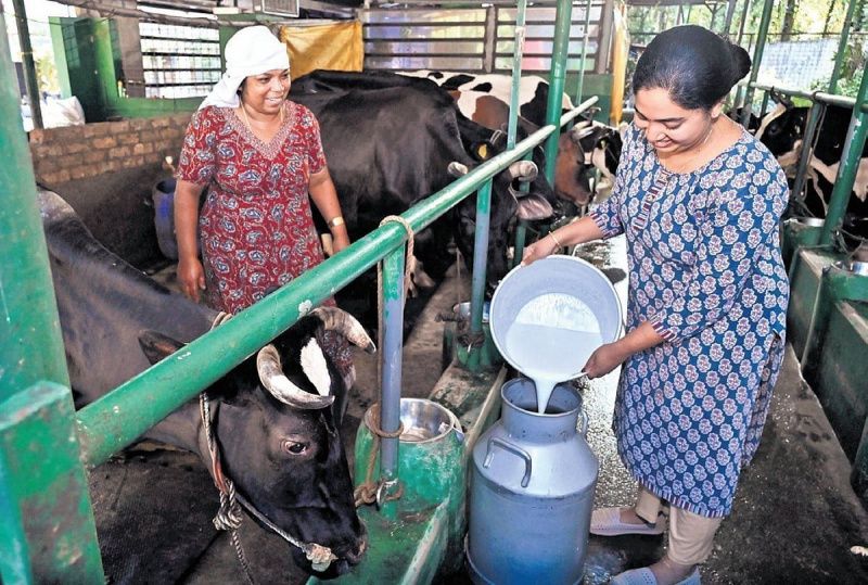Kerala Farmer Shyma Builds a Value-Added Dairy Business