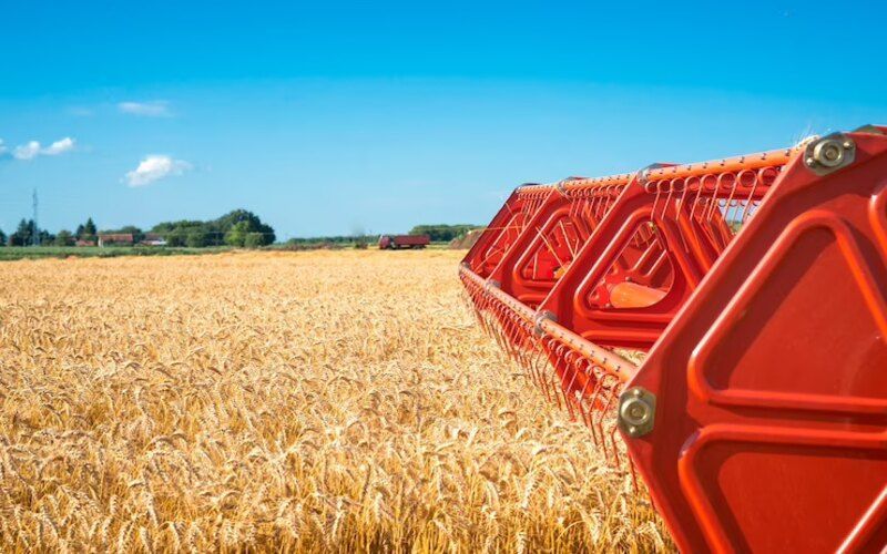 Урожай зерновых в Украине будет ниже на 6% в 2023 году Урожай зерновых в Украине будет ниже на 6% в 2023 году
