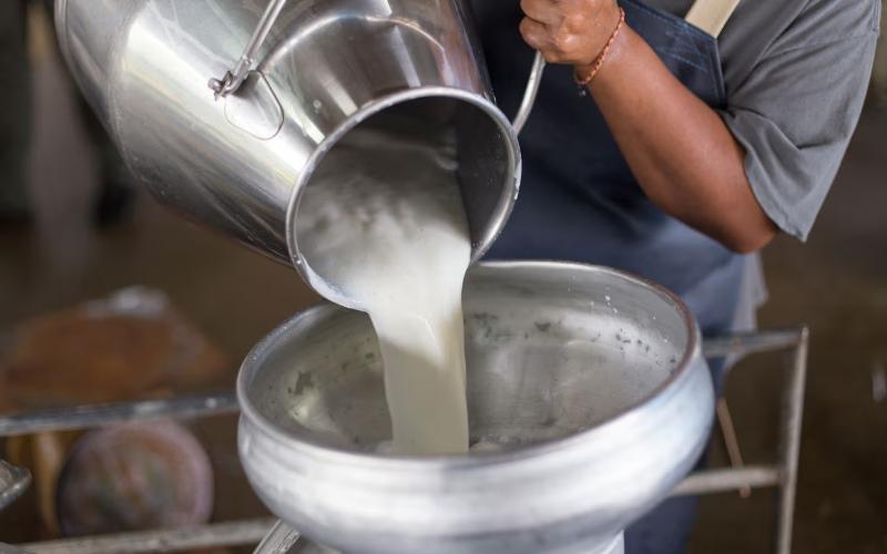 Controversy Over Proposed Milk Collection Center in Quintana Roo, Mexico