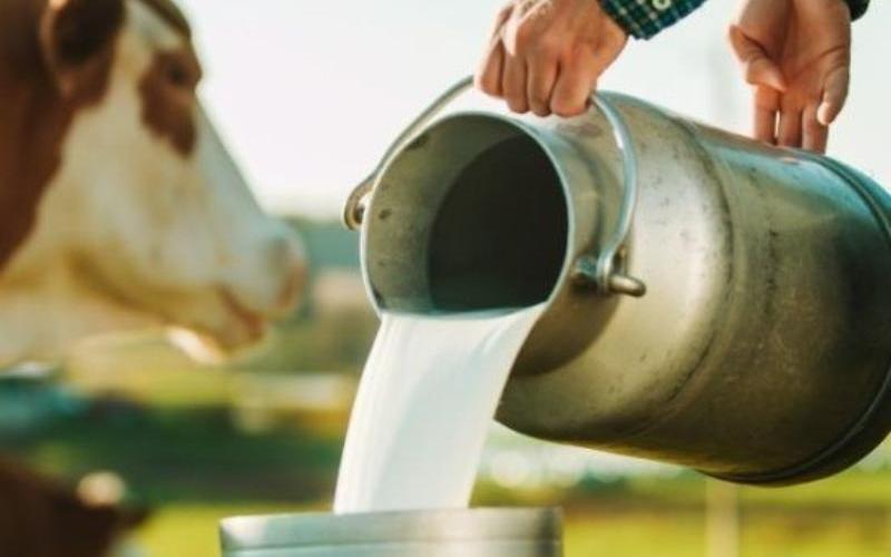 UK Dairy Farmers Face Significant Milk Price Reductions in December