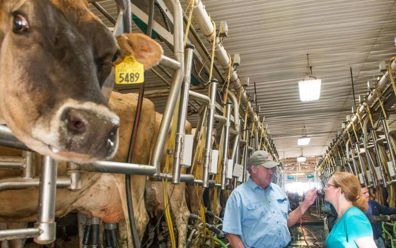 Dairy Plant in Tulancingo: A Financial Enabler for Local Production