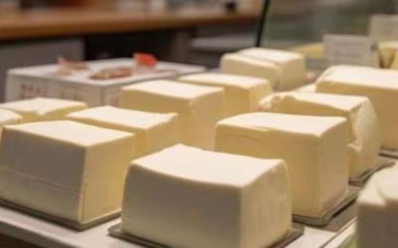 Mumbai Seizes 550 Kg of Fake Paneer