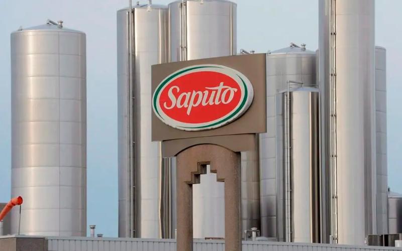 Saputo Expands Dairy Offerings to Capture Foodservice Market
