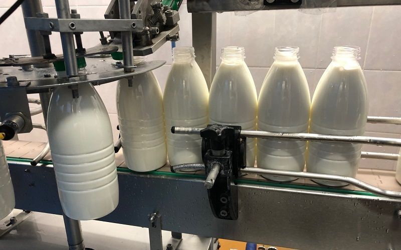 Spanish Dairy Company Fined for Unnotified Acquisition