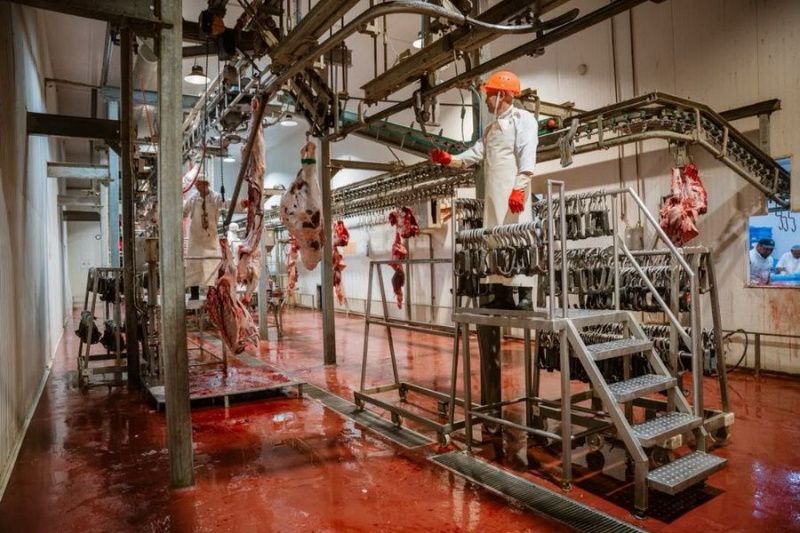 Кублей инвестирует $25 млн в развитие кормового производства в Казахстане Кублей инвестирует $25 млн в развитие кормового производства в Казахстане